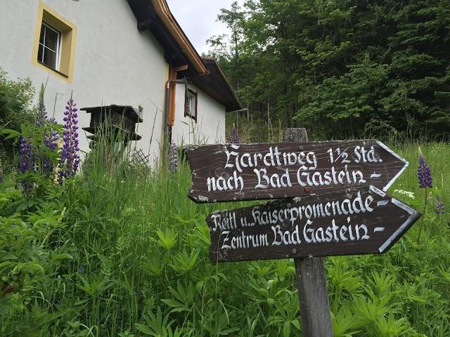 Waldhaus Rudolfshohe